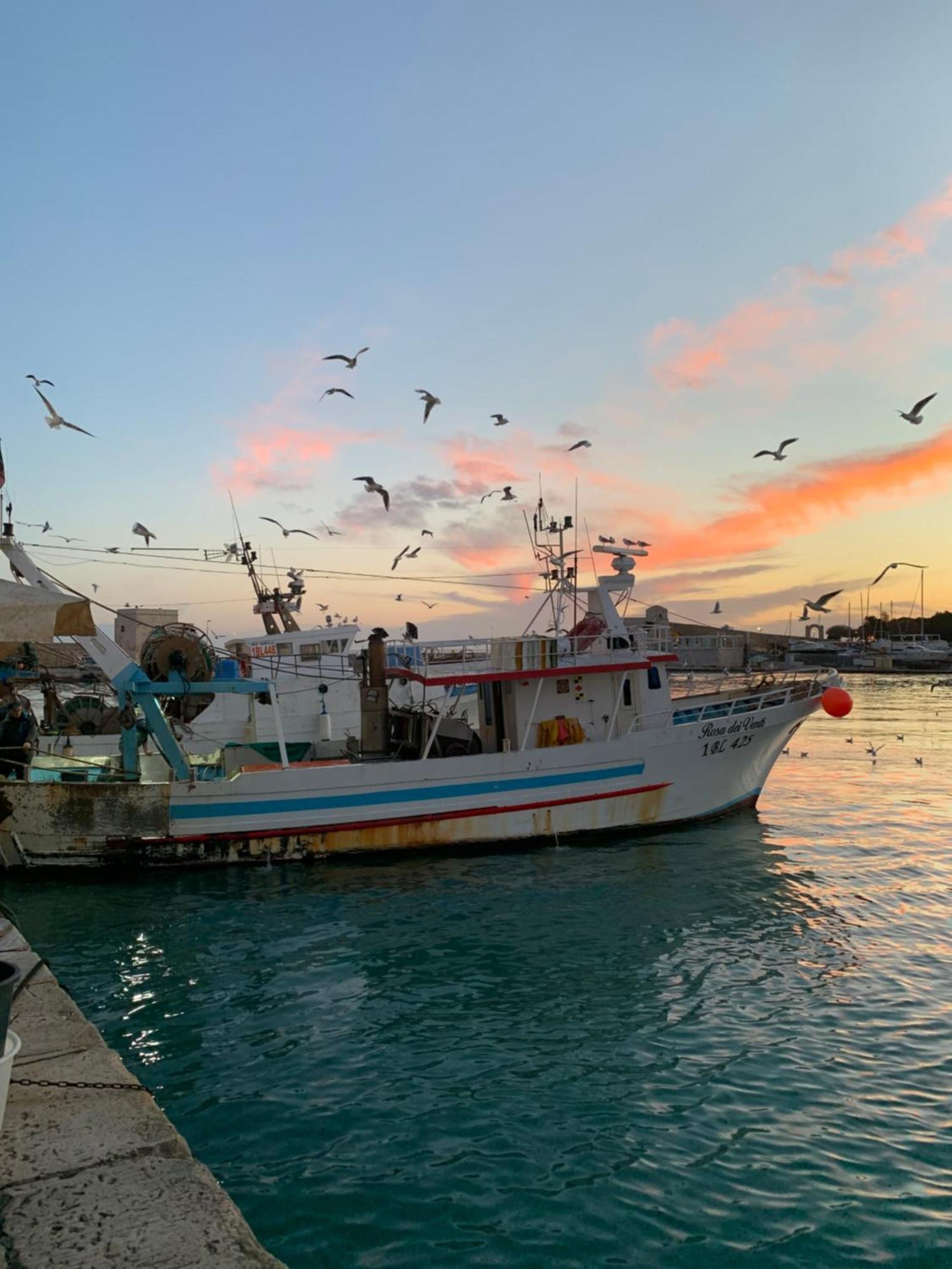 Vischi Apartment Trani By Le Marinelle Loc Turistica Екстер'єр фото